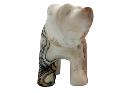 Zebra Calcite Grizzly Bear