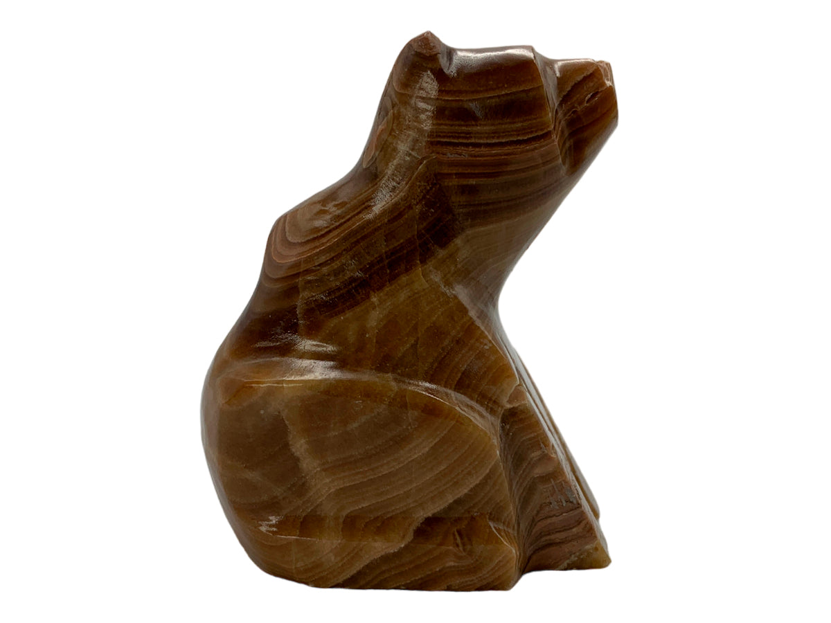 Brown Onyx Sitting Polar Bear