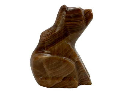 Brown Onyx Sitting Polar Bear