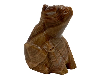 Brown Onyx Sitting Polar Bear