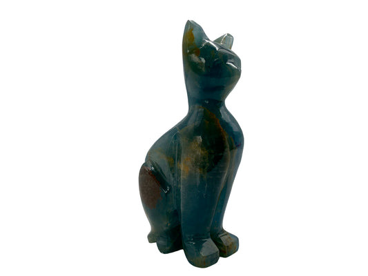 Blue Onyx Cat