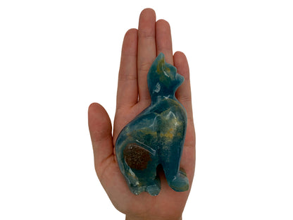 Blue Onyx Cat