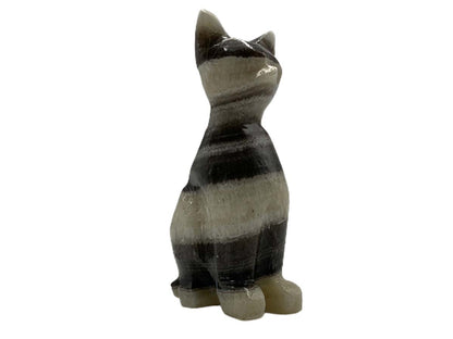 Zebra Onyx Cat