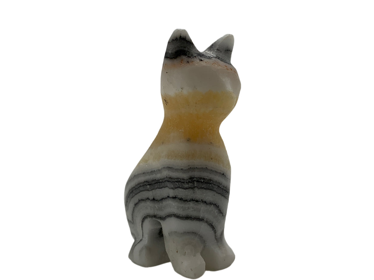 Zebra Calcite Cat