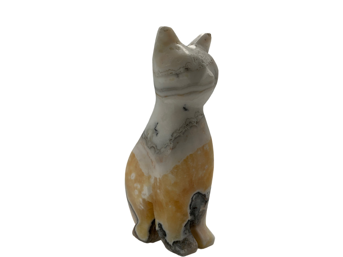 Zebra Calcite Cat
