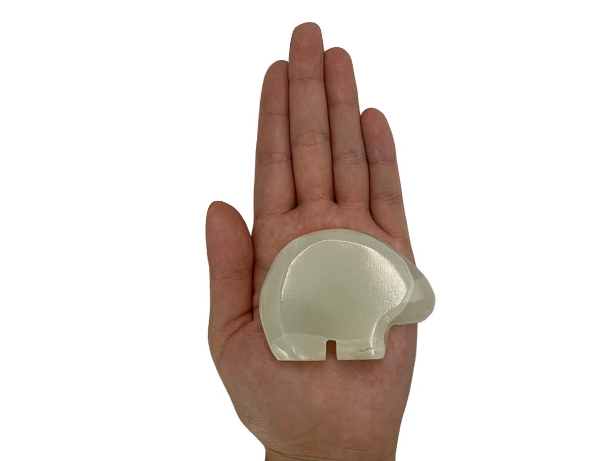 Flat Onyx Polar Bear