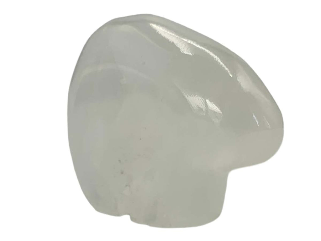 Flat Onyx Polar Bear