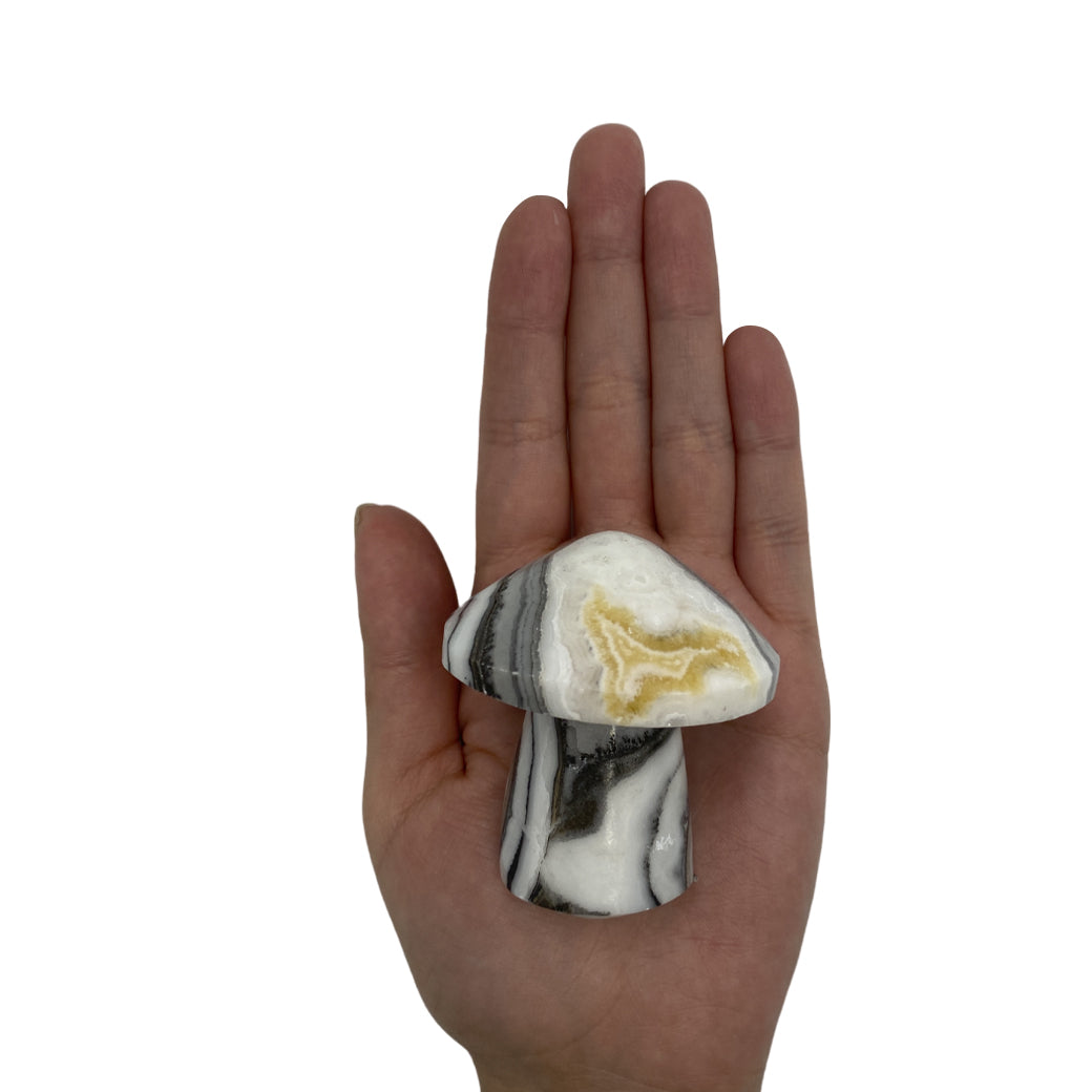 Zebra Calcite Irregular Mushroom