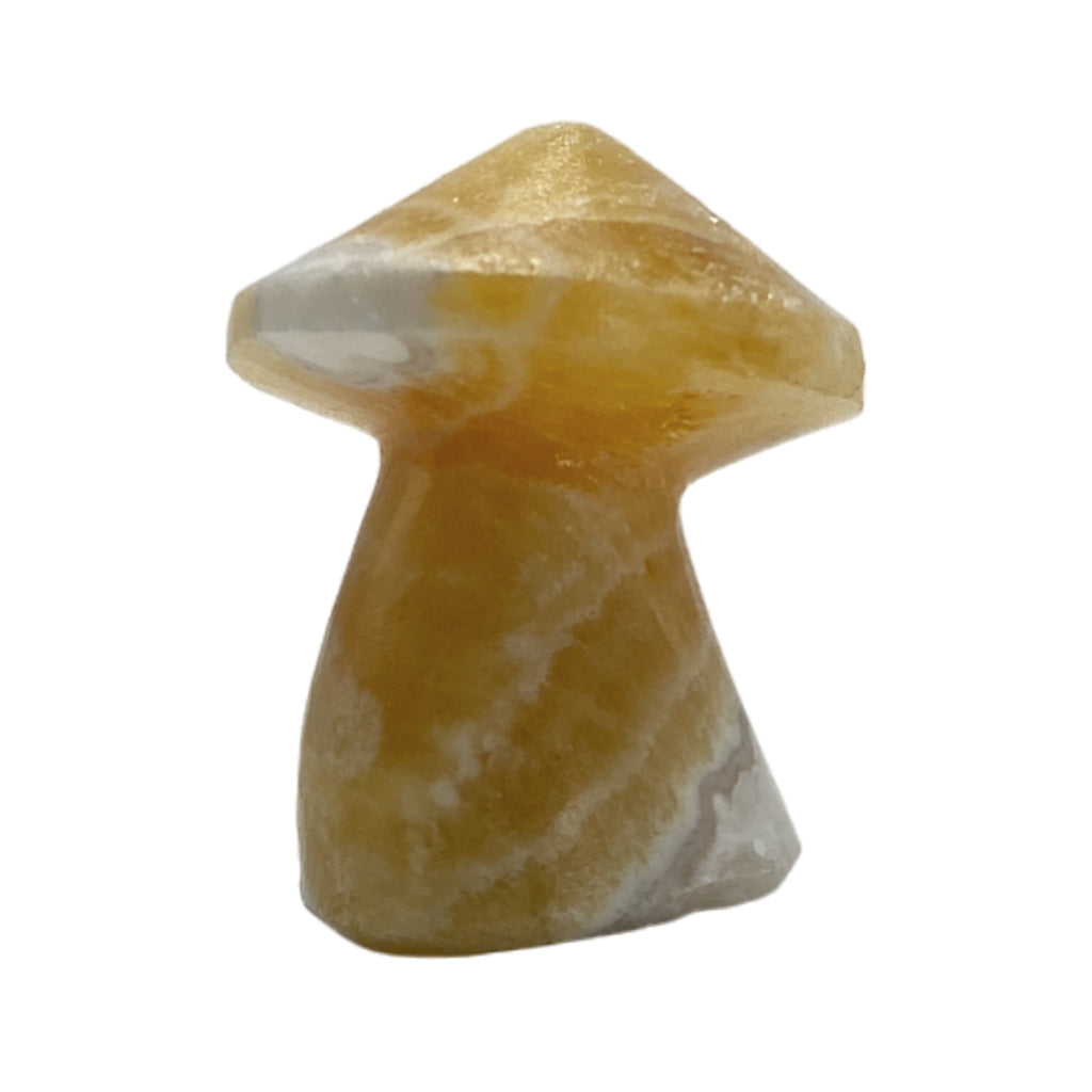 Zebra Calcite Irregular Mushroom