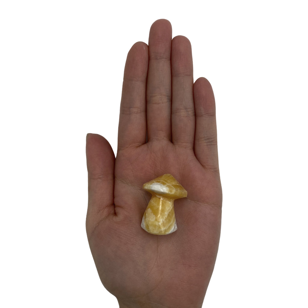 Zebra Calcite Irregular Mushroom