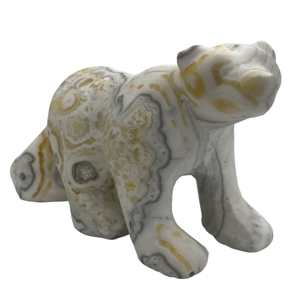 Zebra Calcite Walking Polar Bear