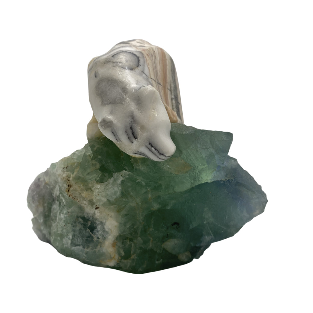 Zebra Calcite Polar Bear on Fluorite Base