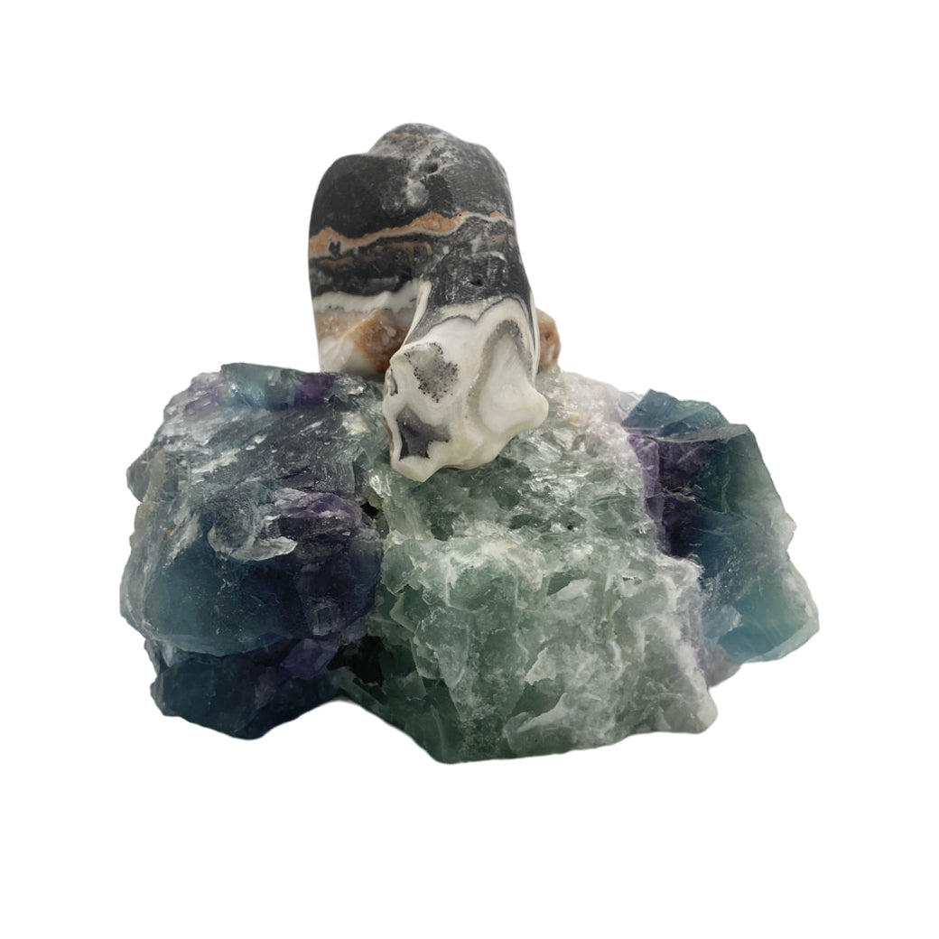 Zebra Calcite Polar Bear on Fluorite Base