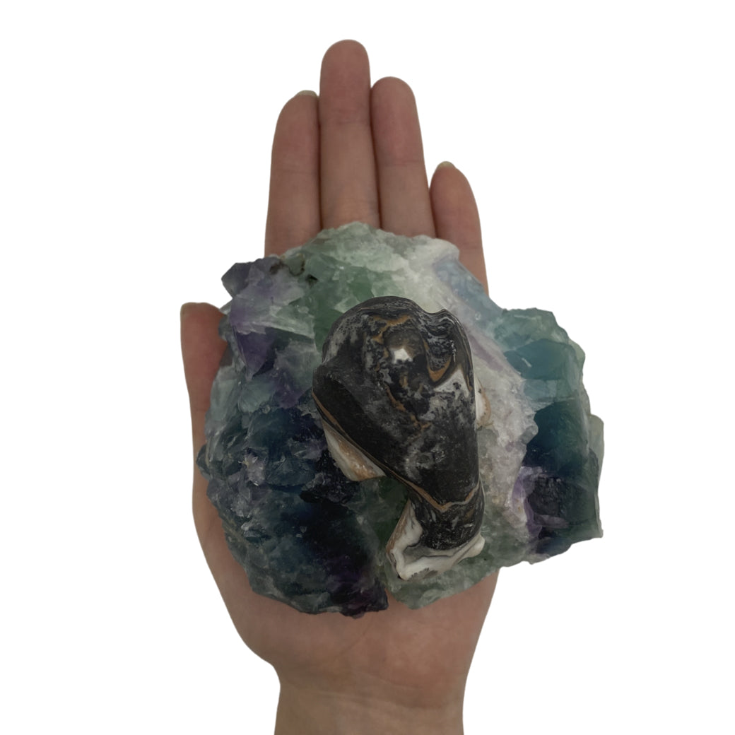 Zebra Calcite Polar Bear on Fluorite Base