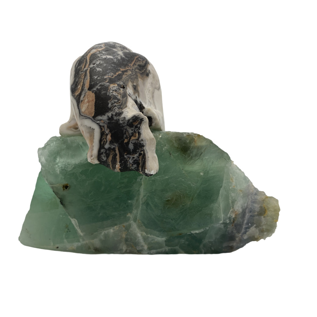 Zebra Calcite Polar Bear on Fluorite Base