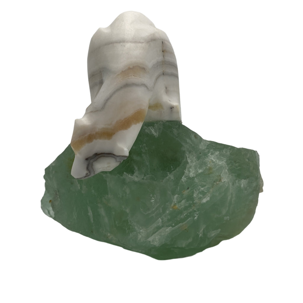 Zebra Calcite Polar Bear on Fluorite Base