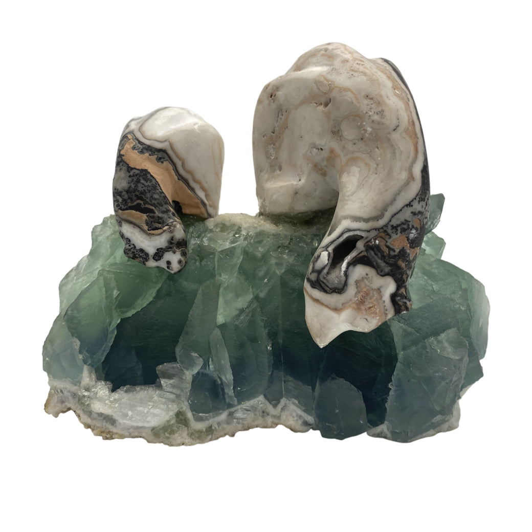 Zebra Calcite Polar Bear pair on Fluorite base