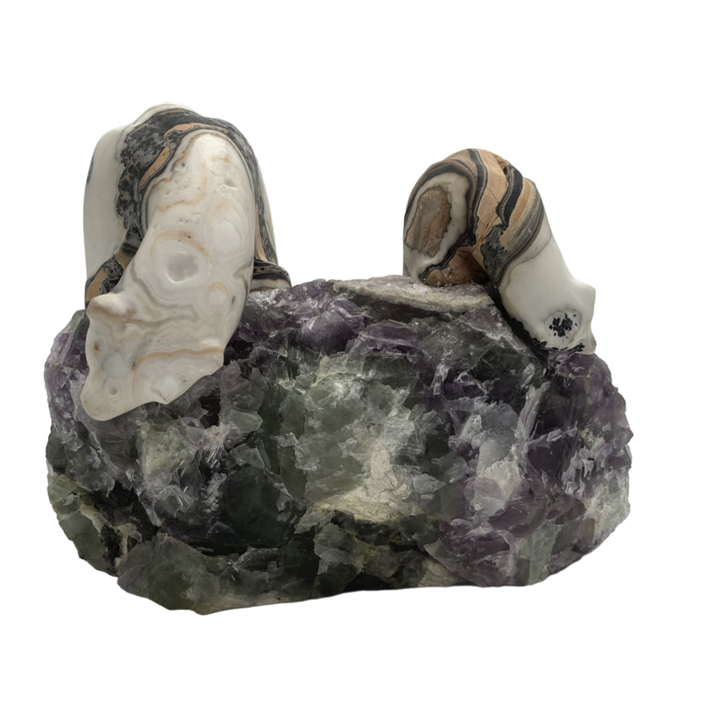 Zebra Calcite Polar Bear pair on Fluorite base