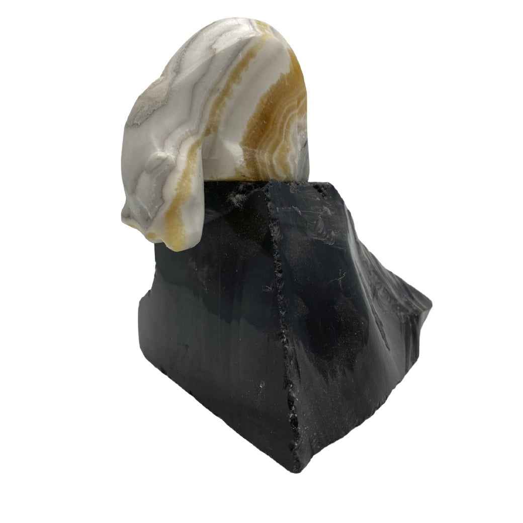Zebra Calcite Polar Bear on Obsidian Base