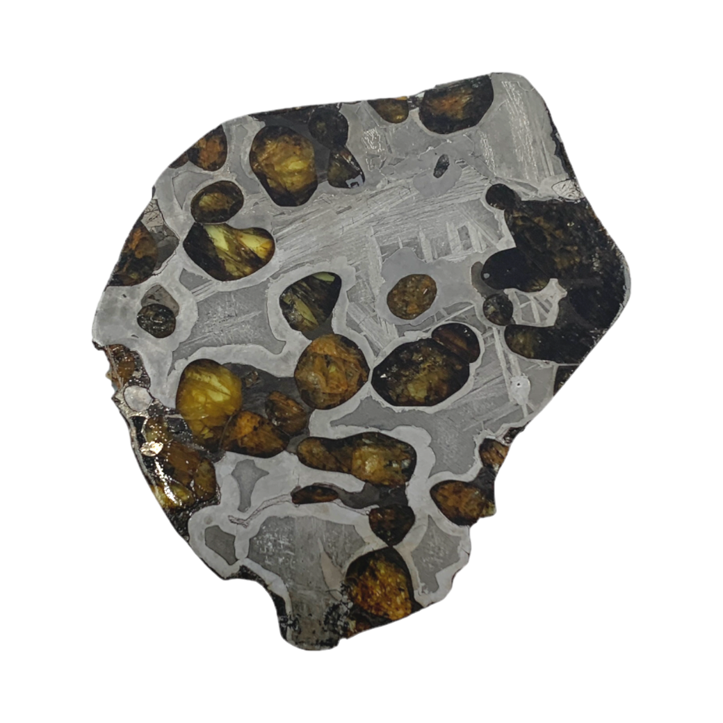 Irregular slice of Pallasite Brenham meteorite