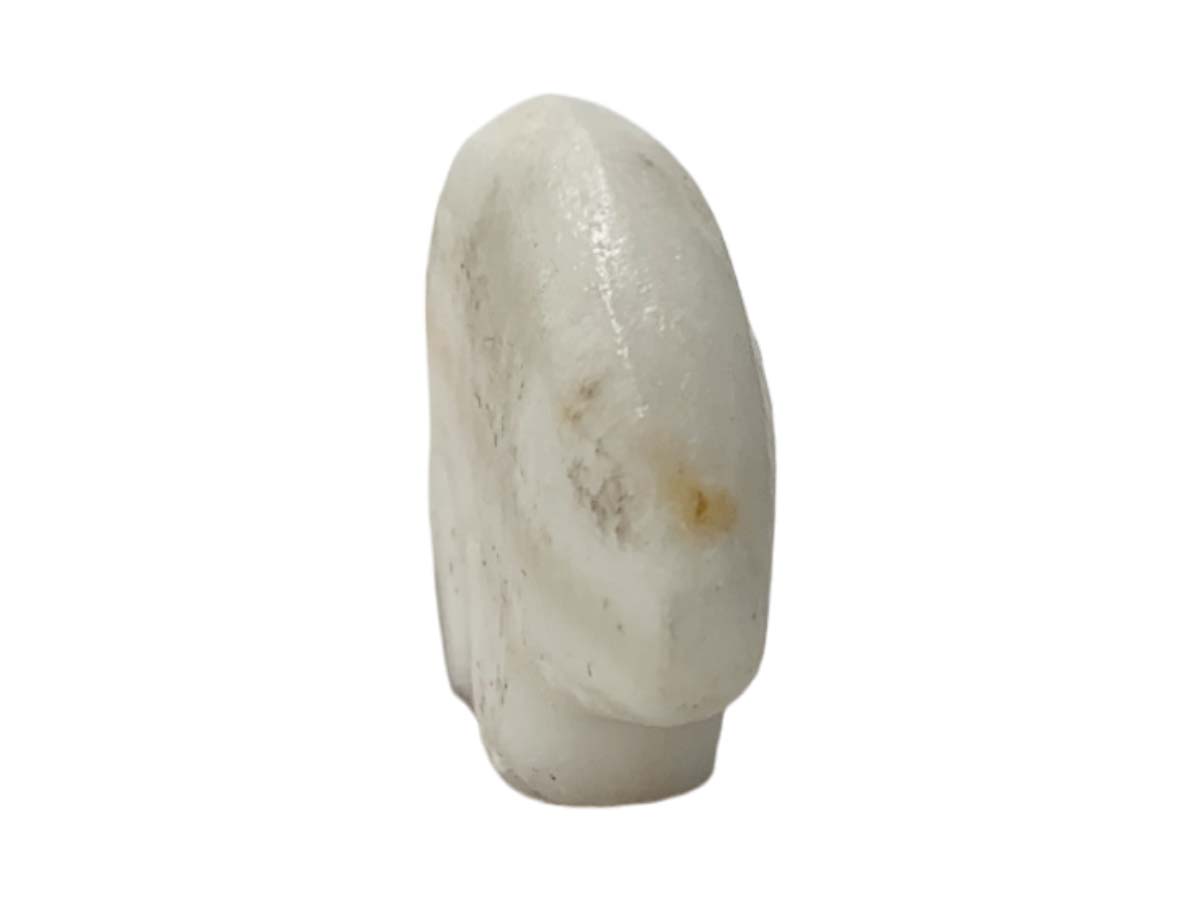 Zebra Calcite Flat Polar Bear