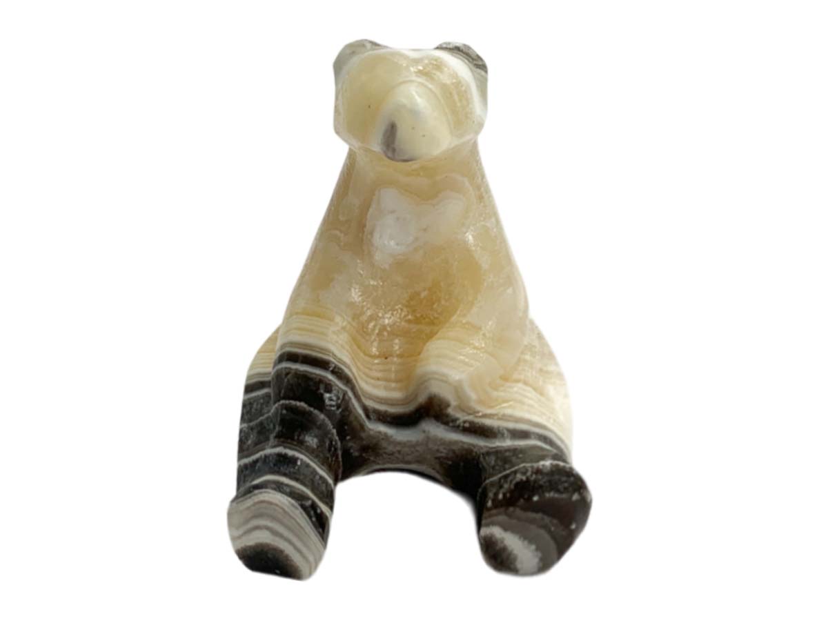 Zebra Onyx Sitting Polar Bear