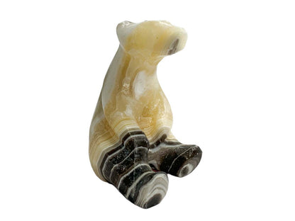 Zebra Onyx Sitting Polar Bear