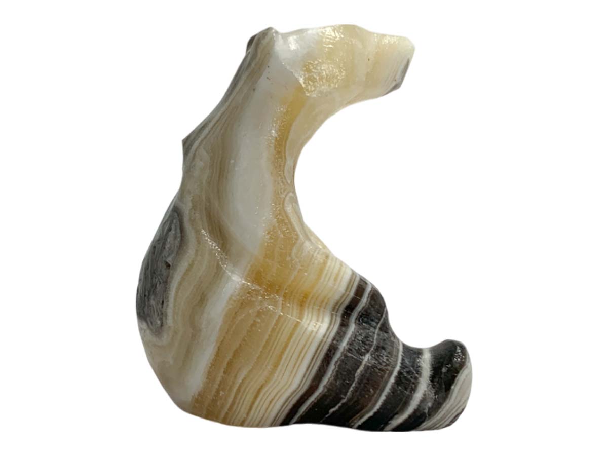 Zebra Onyx Sitting Polar Bear