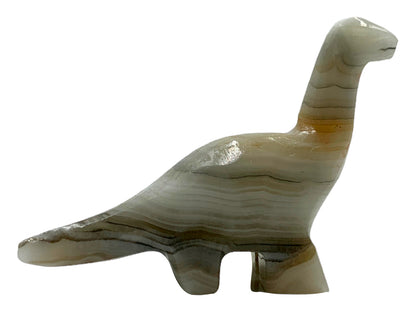 Gray Onyx Apatosaurus