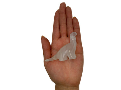 White onyx apatosaurus