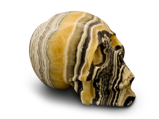 Zebra Onyx Skull