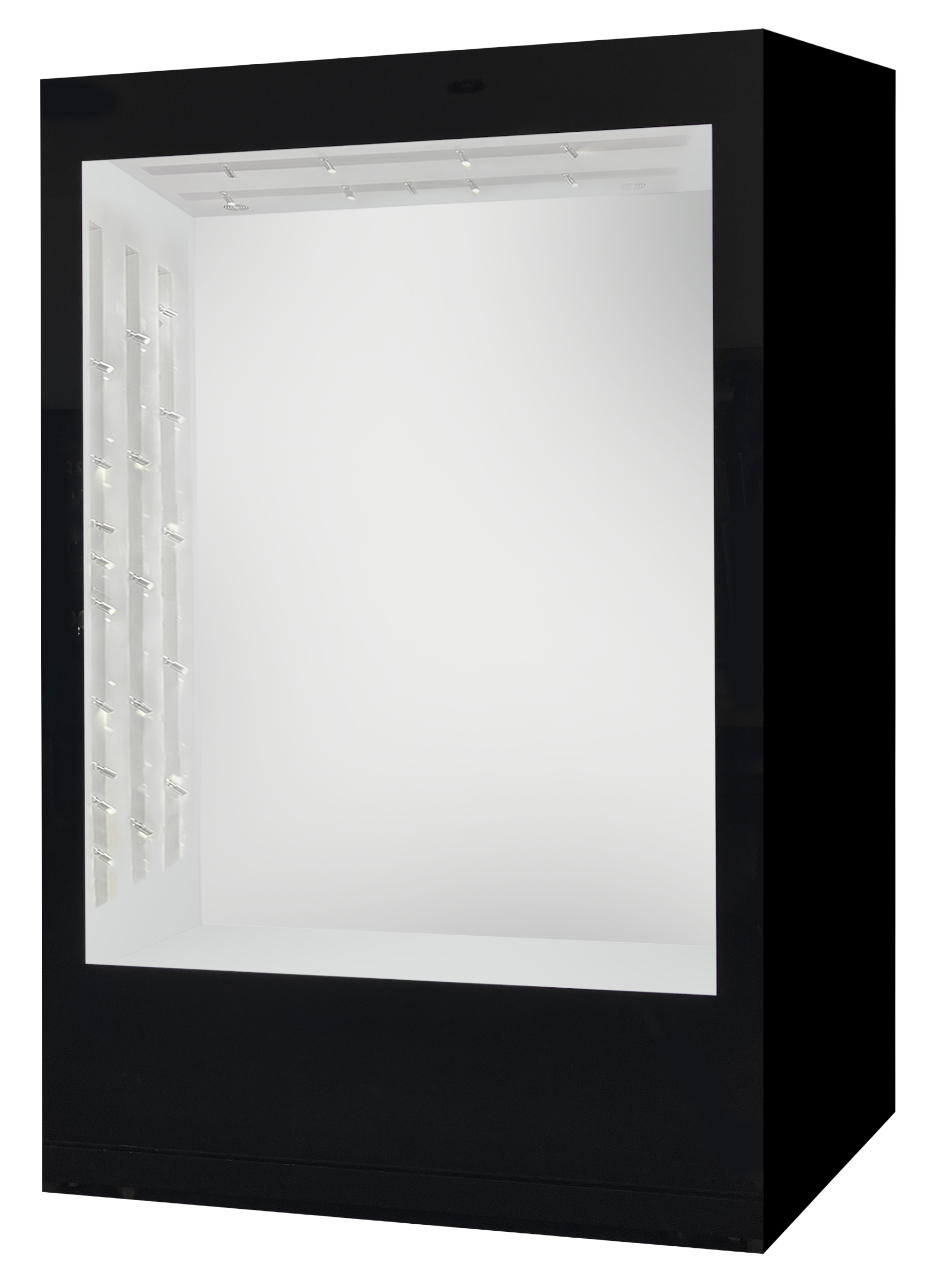 Glass Showcase #1