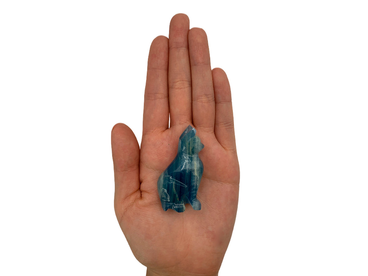 Blue Onyx Cat