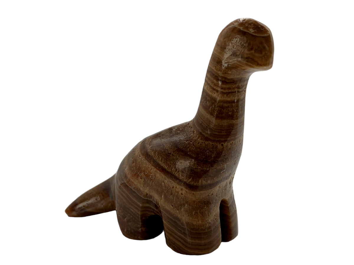 Brown Onyx Apatosaurus
