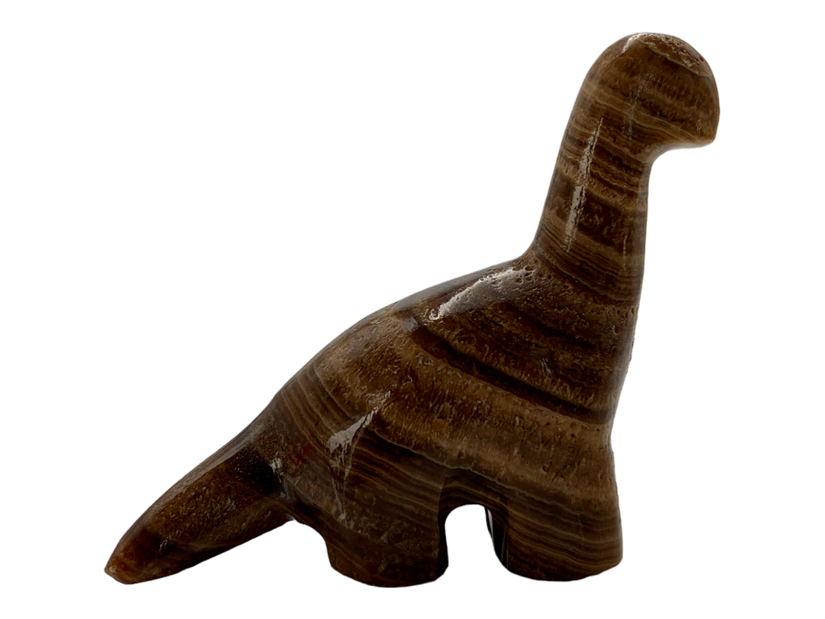 Brown Onyx Apatosaurus