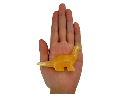 Orange Onyx Apatosaurus