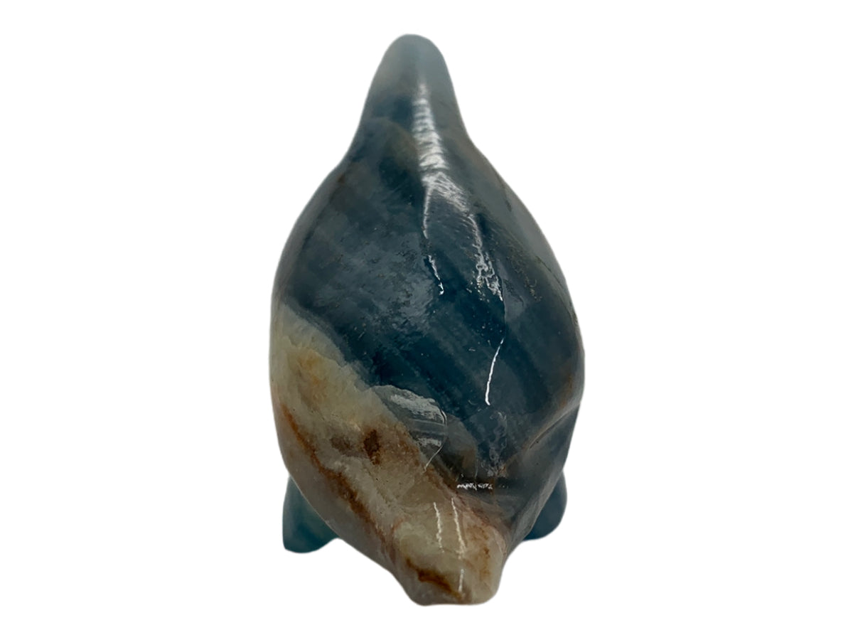 Blue Onyx Dolphin