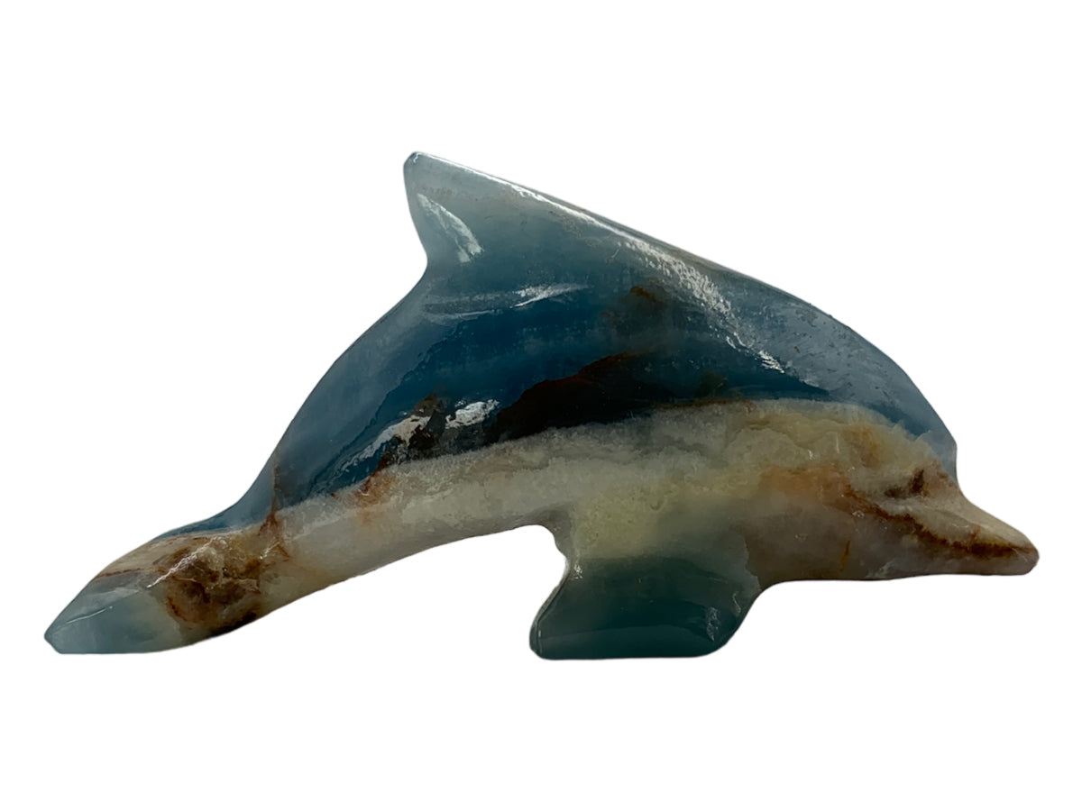 Blue Onyx Dolphin