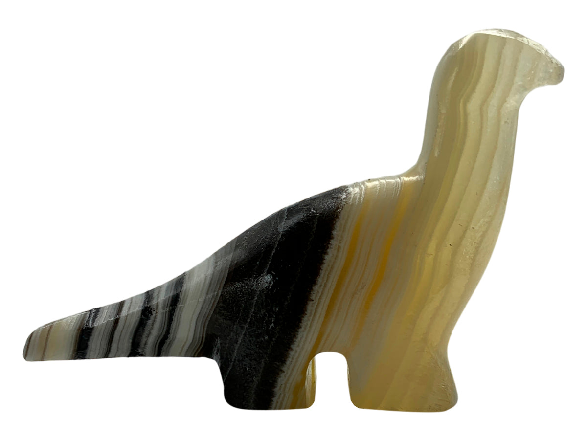 Zebra Onyx Apatosaurus