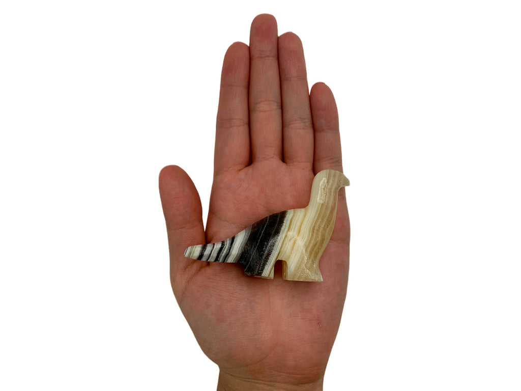 Zebra Onyx Apatosaurus