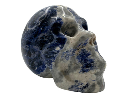 Sodalite Skull Model