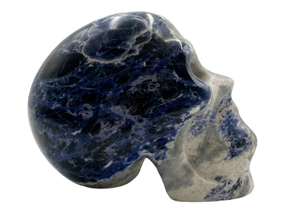 Sodalite Skull Model