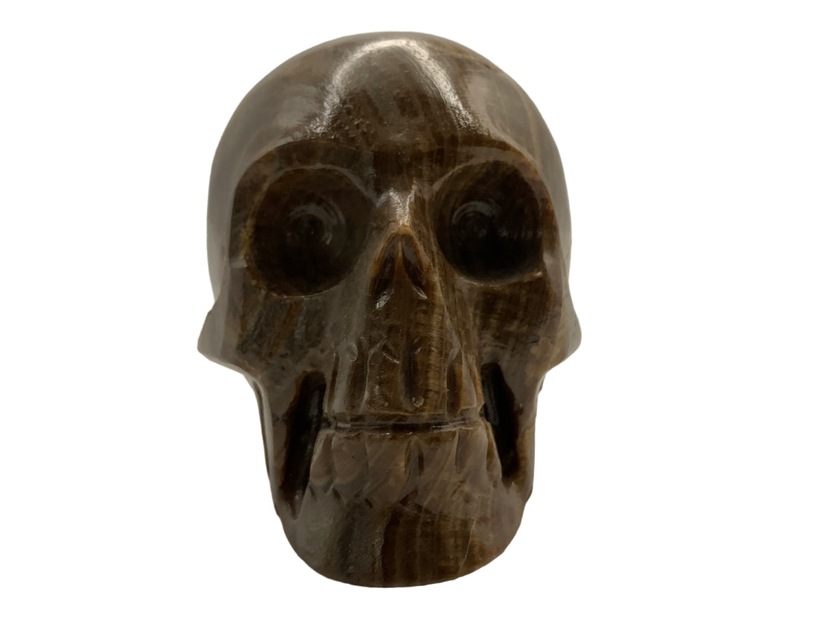 Brown Onyx Skull Model 4 Polished 11X7X8.5 Cm