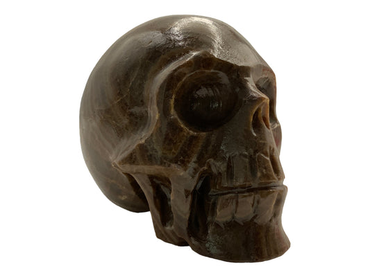 Brown Onyx Skull