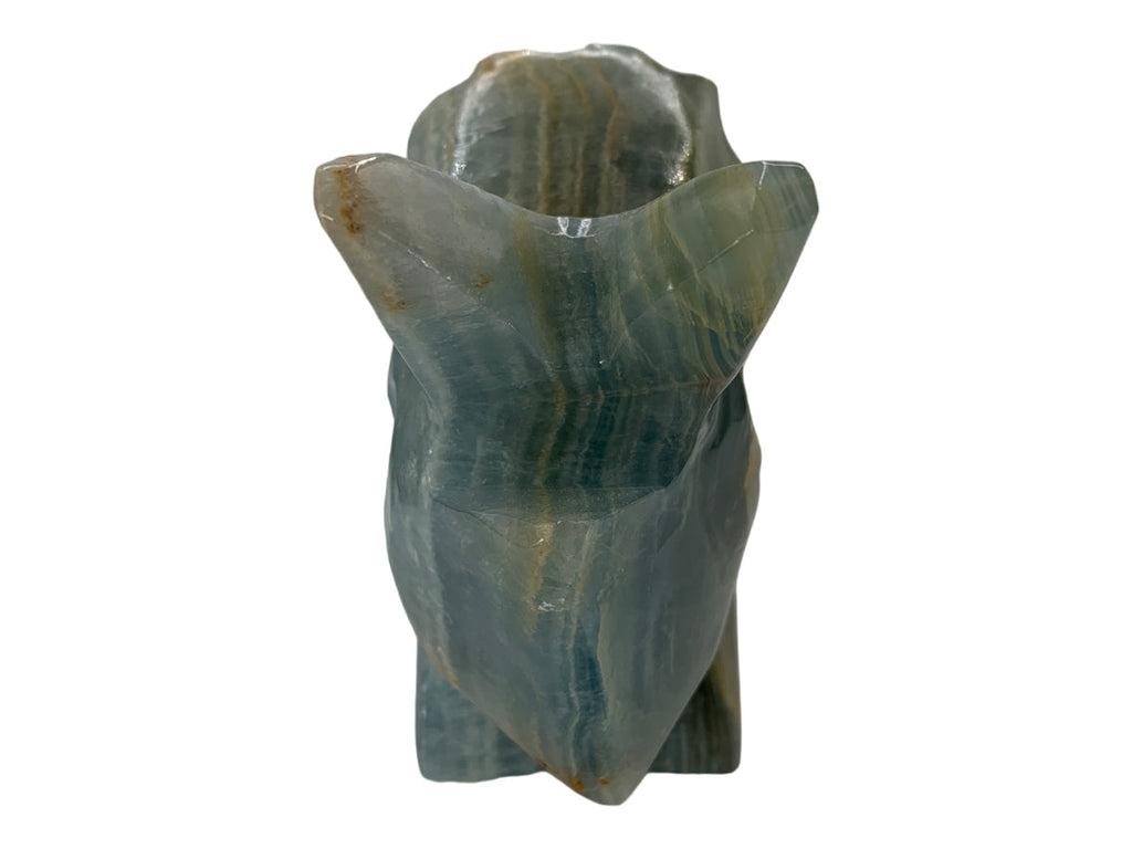 Blue Onyx Triceratops Polished