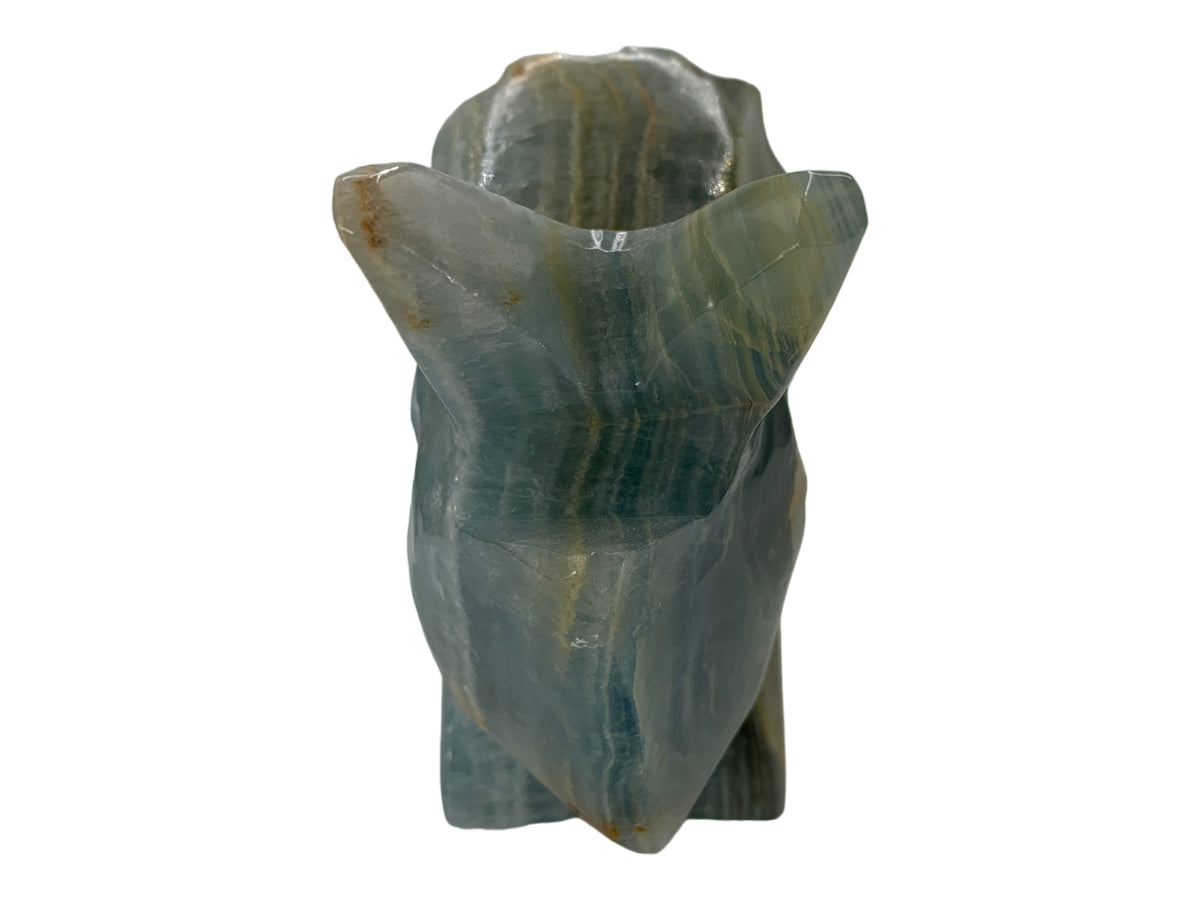 Blue Onyx Triceratops Polished