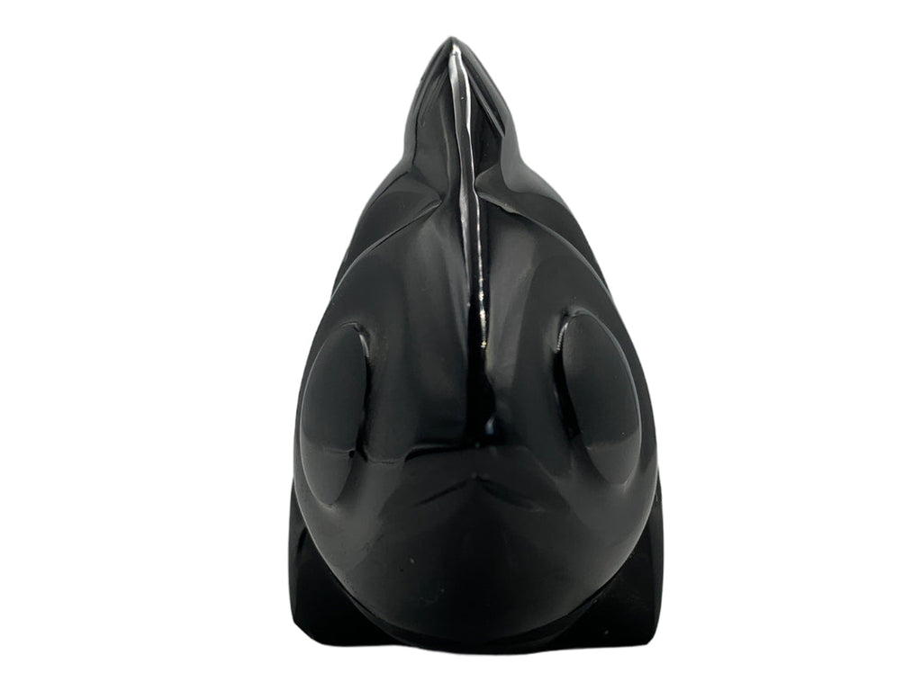 Black Obsidian Fish Polished 12X4X7 Cm