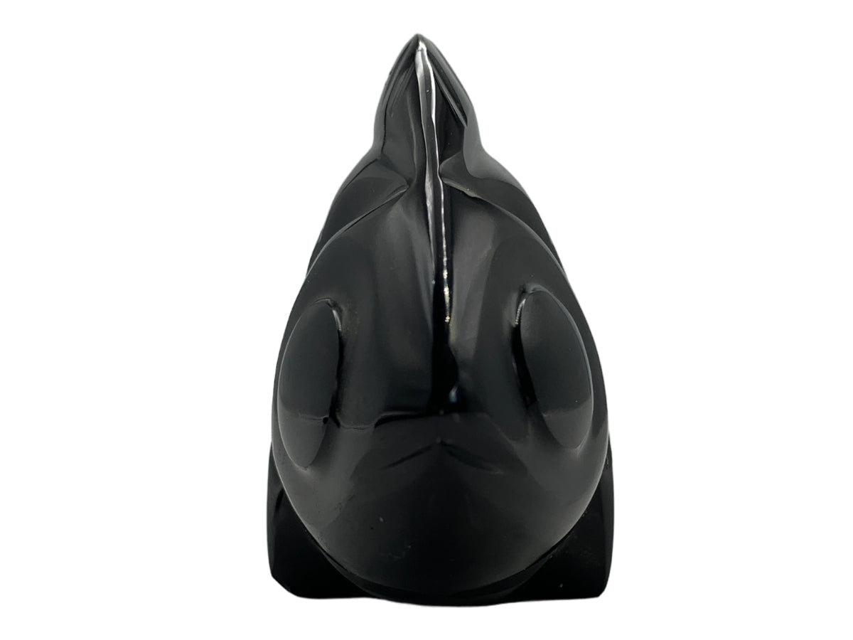 Black Obsidian Fish Polished 12X4X7 Cm