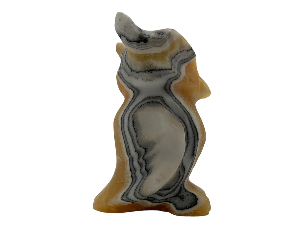 Zebra Calcite Owl