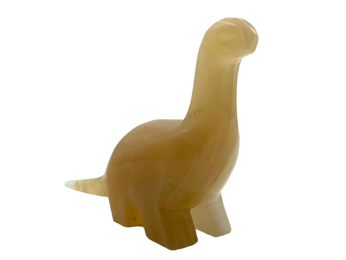 Amber Onyx Apatosaurus